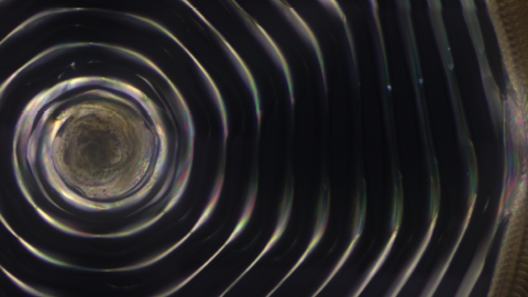 journal cover of advanced materials