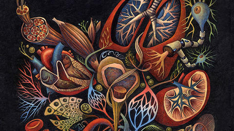 Cell Stem Cell Journal cover, May 5th, 2020