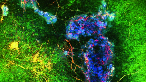 journal cover of Nature methods
