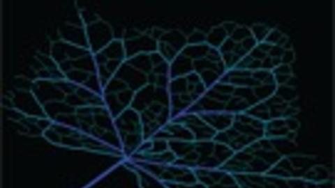 journal cover of soft matter