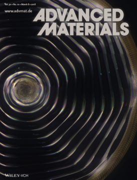 adv_mat_cover_lceas.png