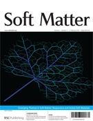 softmatter2010.jpg