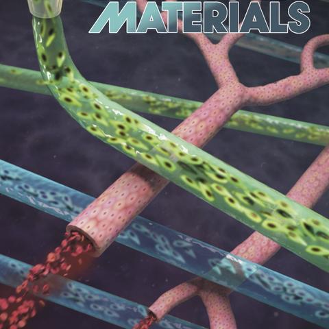 Bioprinting: 3D Bioprinting of Vascularized, Heterogeneous Cell-Laden ...