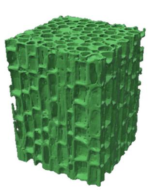 3d_printed_structures_for_modeling_the_youngs_modulus_of_bamboo_parenchyma.jpg