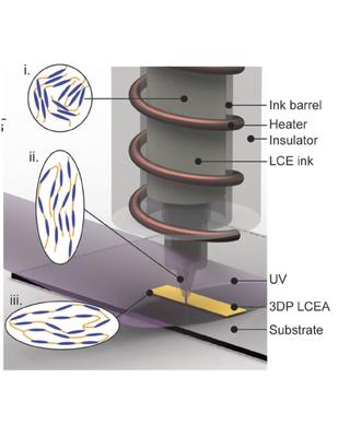 3d_printing_of_liquid_crystal_elastomeric_actuators_with_spatially_programed_nematic_order.jpg