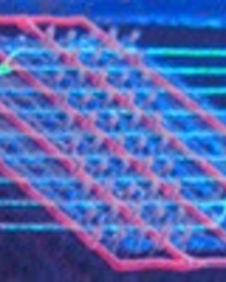 accelerated_self-healing_via_ternary_interpenetrating_microvascular_networks.jpg
