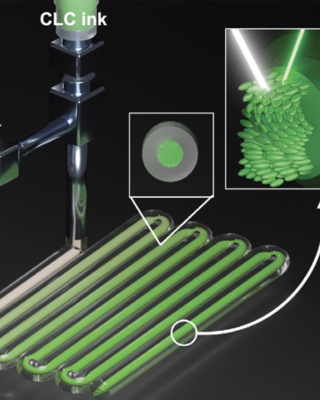 coaxial_direct_ink_writing_of_cholesteric_liquid_crystal_elastomers_in_3d_architectures.png