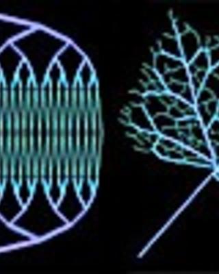 direct-write_assembly_of_biomimetic_microvascular_networks_for_efficient_fluid_transport.jpg