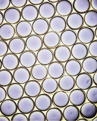 encapsulated_liquid_sorbents_for_carbon_dioxide_capture.jpg