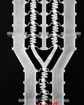 laser-assisted_direct_ink_writing_of_planar_and_3d_metal_architectures.jpg