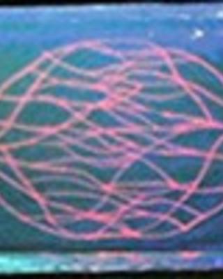omnidirectional_printing_of_3d_microvascular_networks.jpg