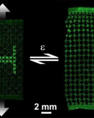 perovskite_nanowire-block_copolymer_composites_with_digitally_programmable_polarization_anisotropy.jpg