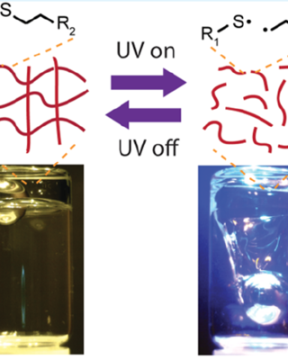 photoswitchable_covalent_adaptive_networks_based_on_thiol-ene_elastomers.png