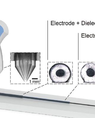 printing_reconfigurable_bundles_of_dielectric_elastomer_fibers.jpg