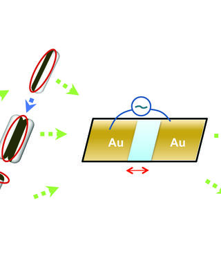 reconfigurable_assemblies_of_janus_rods_in_ac_electric_fields.jpg