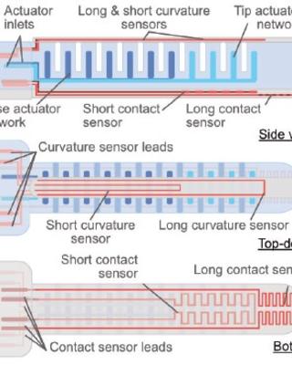 soft_robotic_fingers_with_embedded_ionogel_sensors_and_discreteactuation_modes_for_somatosensitive_manipulation.jpg