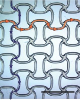topology_optimized_architectures_with_programmable_poissons_ratio_over_large_deformations.jpg