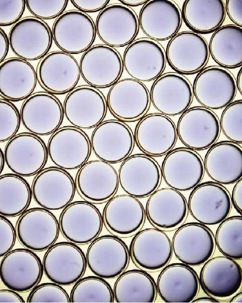 encapsulated_liquid_sorbents_for_carbon_dioxide_capture.jpg
