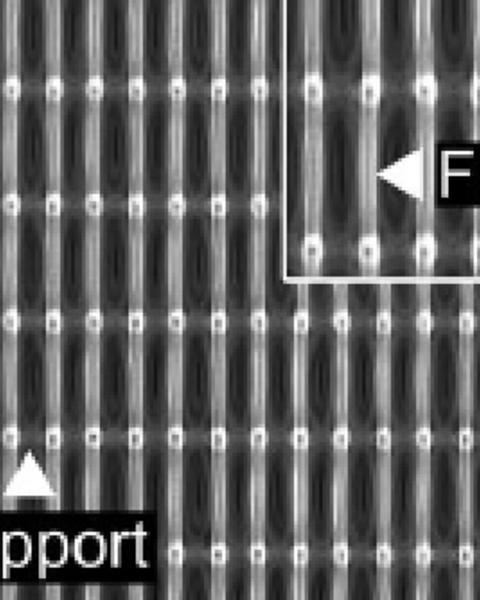 engineered_3d-printed_artificial_axons.jpg