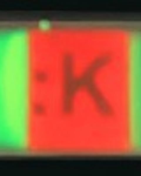 genotyping_by_alkaline_dehybridization_using_graphically_encoded_particles.jpg