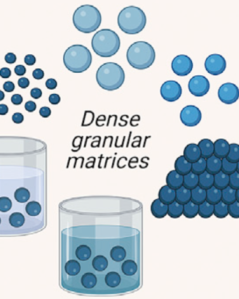 integrated_data-driven_modeling_and_experimental_optimization_of_granular_hydrogel_matrices.png