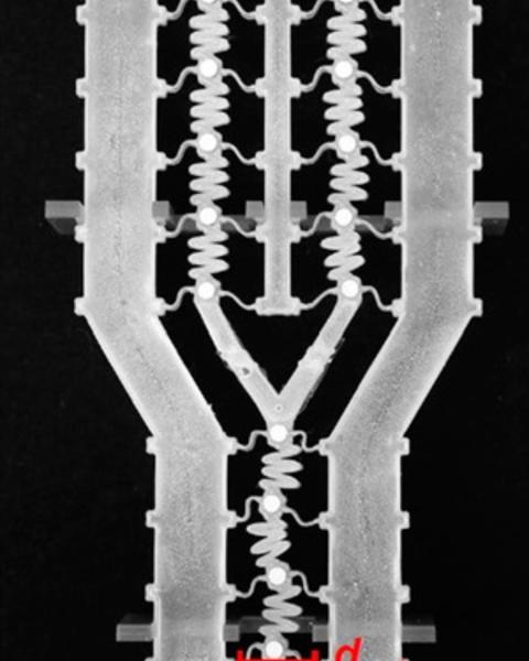 laser-assisted_direct_ink_writing_of_planar_and_3d_metal_architectures.jpg