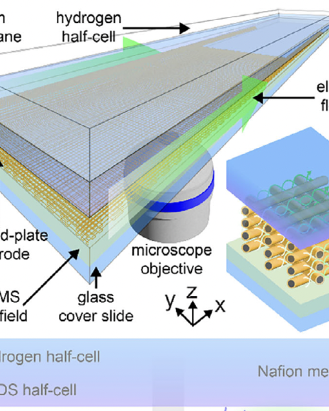 print-and-plate_architected_electrodes_for_electrochemical_transformations_under_flow.png