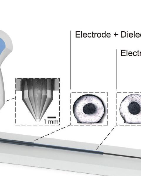 printing_reconfigurable_bundles_of_dielectric_elastomer_fibers.jpg
