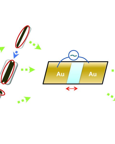 reconfigurable_assemblies_of_janus_rods_in_ac_electric_fields.jpg