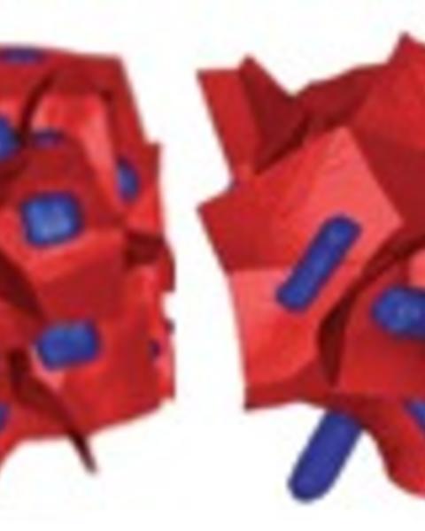 structural_evolution_of_cuboidal_granular_media.jpg