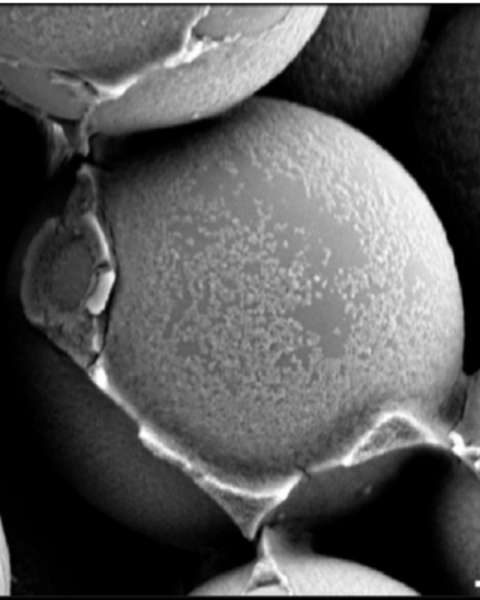 theoretical_study_of_the_impact_of_dilute_nanoparticle_additives_on_the_shear_elasticity_of_dense_colloidal_suspensions.png