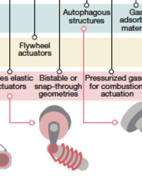 towards_enduring_autonomous_robots_via_embodied_energy.png