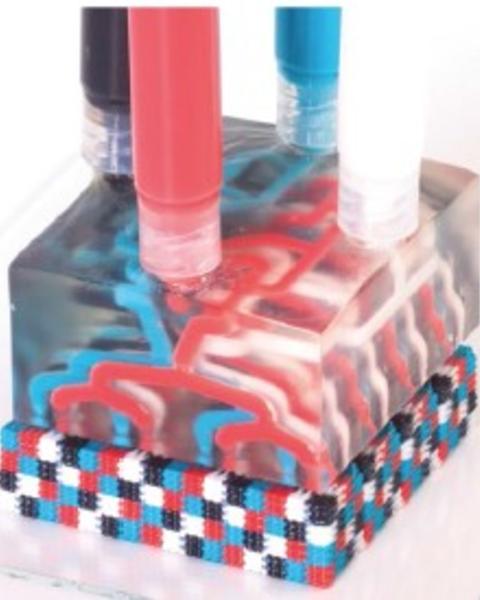 voxelated_soft_matter_via_multimaterial_multinozzle_3d_printing.jpg